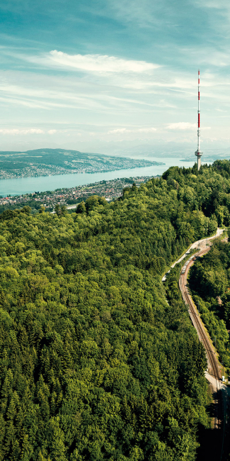 Uetliberg with a view on the lake and Zurich